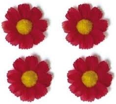 Fleur de basilic 4 Magrietjes Red 50188