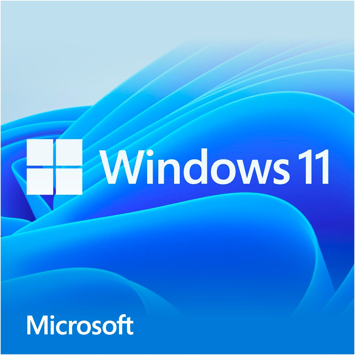 Microsoft Windows 11 Home (Dutch) Systembuilder