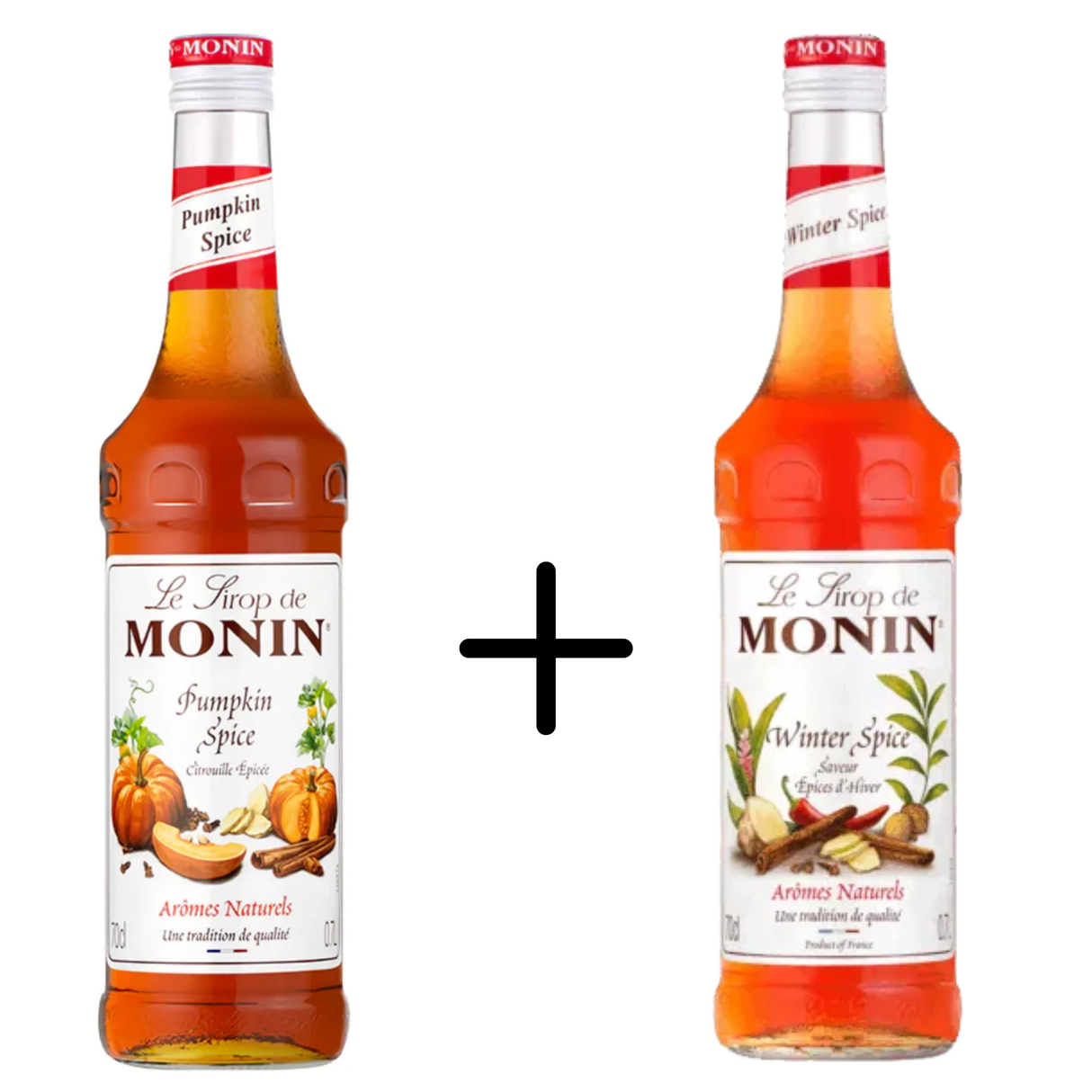 Épice de citrouille Monin + épice d'hiver