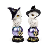 Sage vieux hibou magique sur le hibou brillant arc-en-ciel