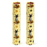 Lisa Parker Hocus Pocus Cat grand tube à dessin 12 crayons de couleur