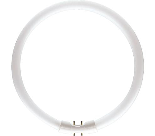 Philips TL5 Circulaire 55W 840 Master Blanc Froid 2Gx13 | 10 pièces