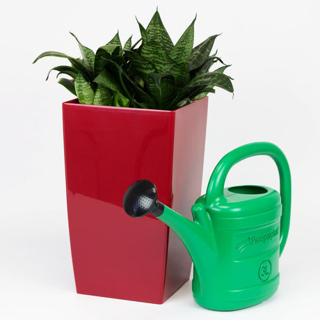 Produits arrosoir plastique vert 3l avec bec verseur