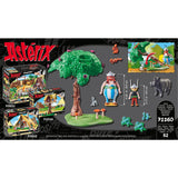 PLAYMOBIL Asterix Everzwijnenjacht 71160