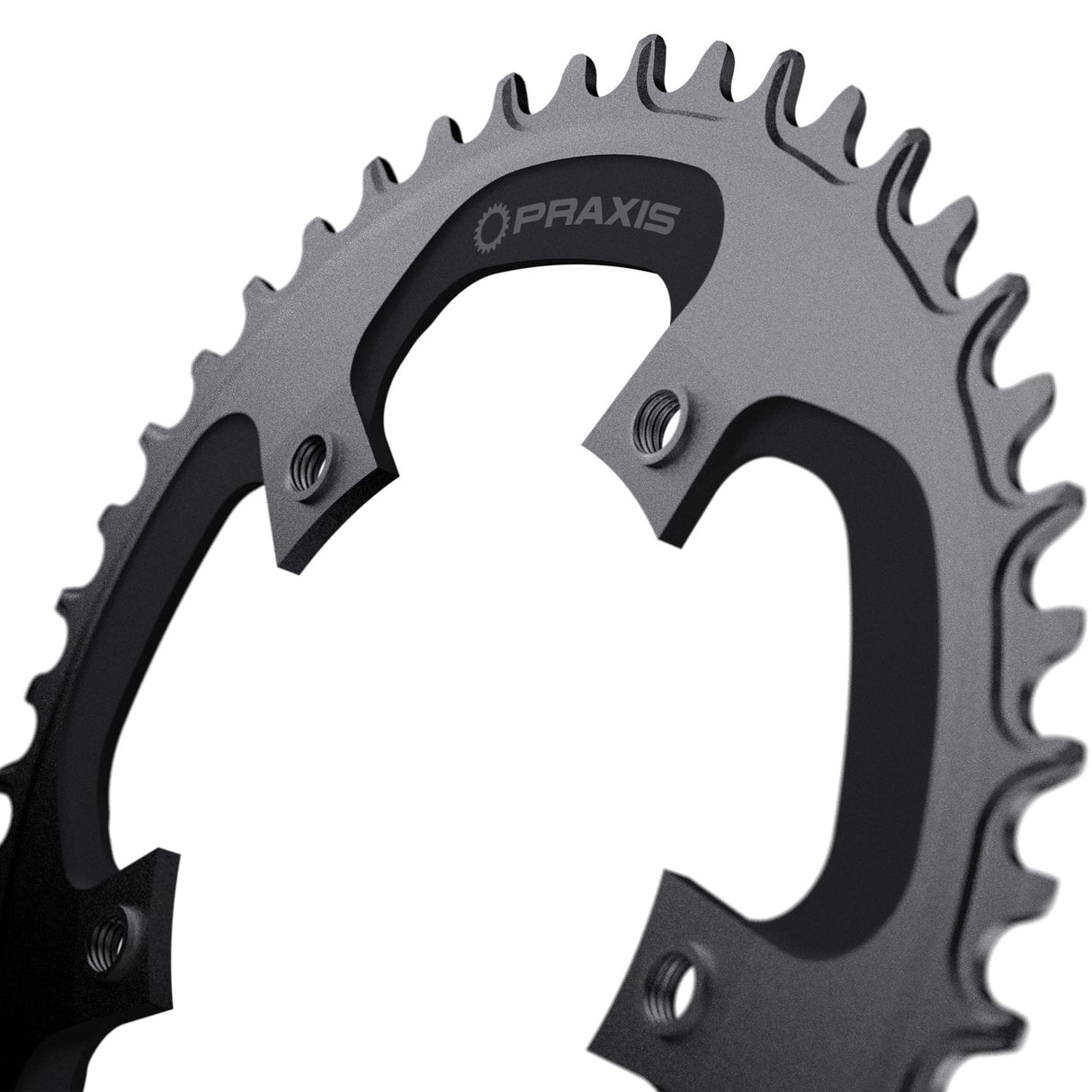 Plateau Praxis 1x e-ring 110bcd m8 46t