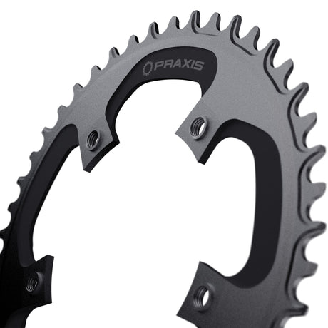 Plateau Praxis 1x e-ring 110bcd m8 44t