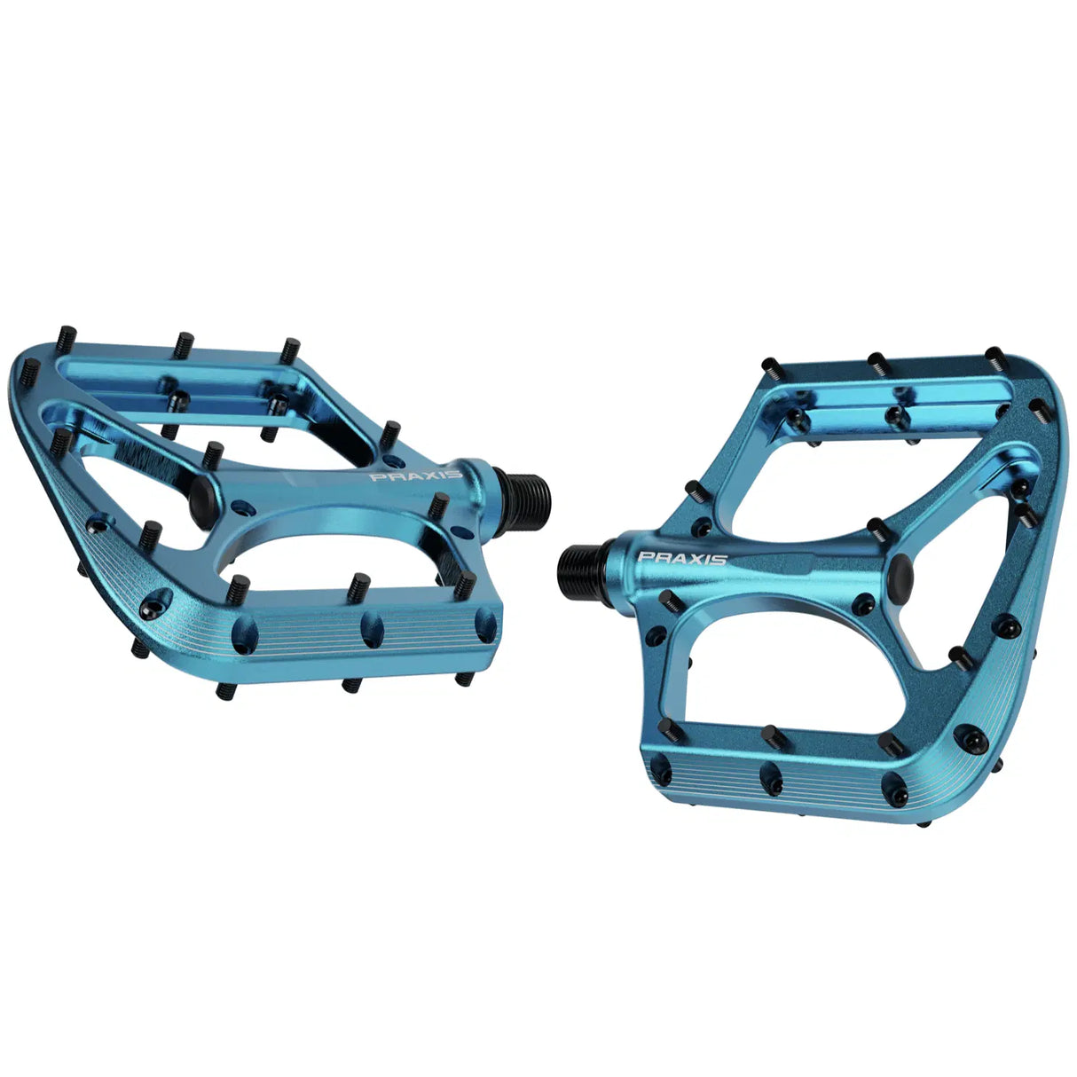 Pédale Praxis broodium aqua