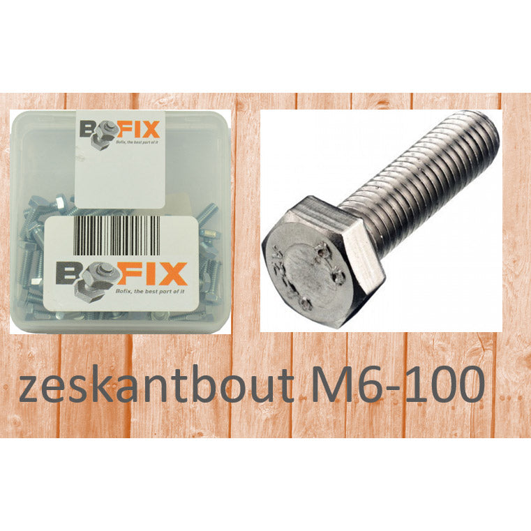 Bofix Hexagon Bolt M6-100 (12e)