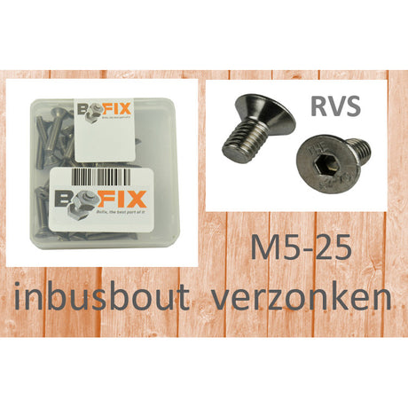 Bofix Allenbout M5X25 Tête coulée en acier inoxydable (25e)