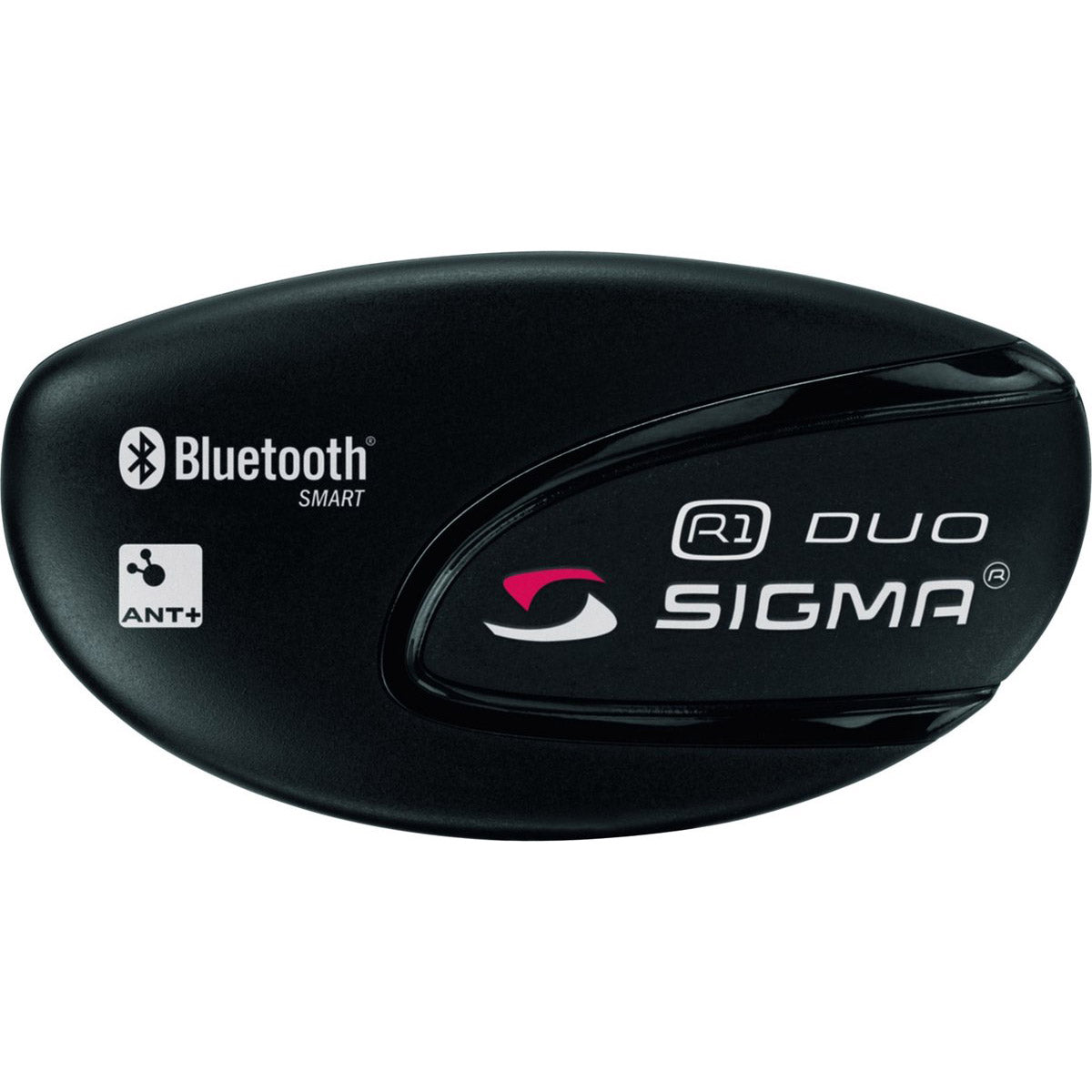 Aimant Sigma pour capteur de cadence
