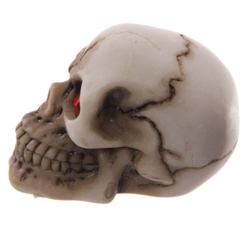 Accessoire pour la maison, crâne horrible, yeux rouges