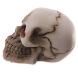 Accessoire pour la maison, crâne horrible, yeux rouges
