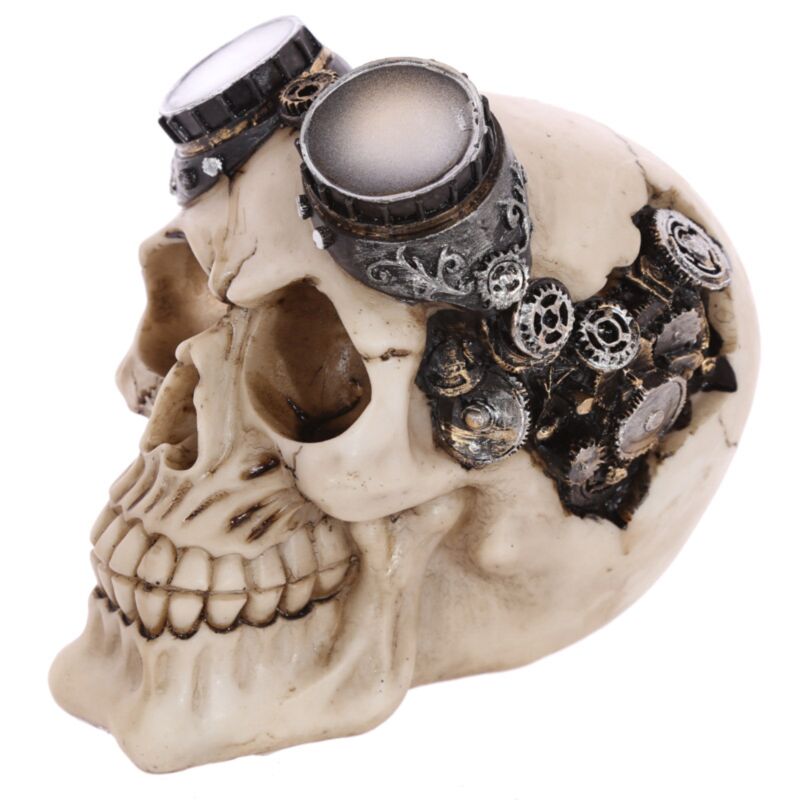 Lunettes de moto Steam punk, accessoire pour la maison