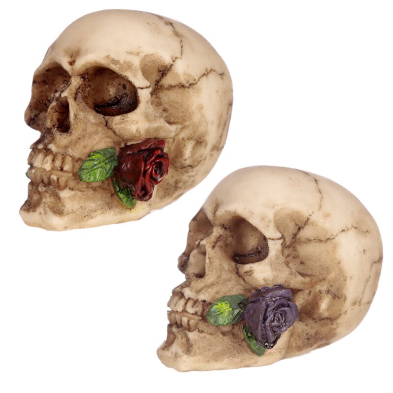 Crâne avec rose entre les dents, accessoire de maison