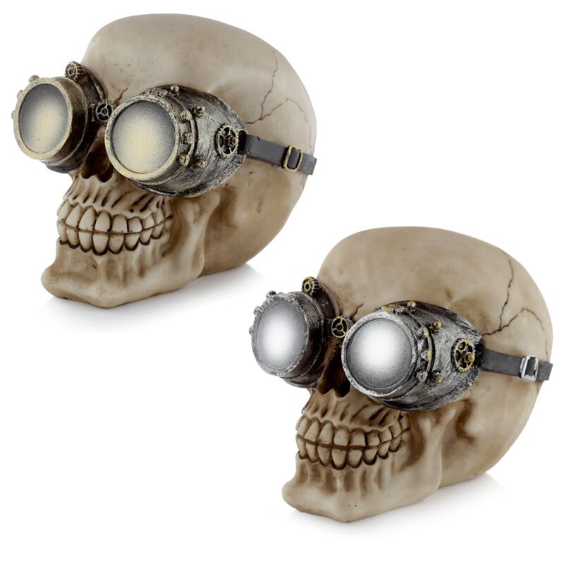 Crâne de style steam punk avec accessoire de maison de lunettes