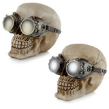 Crâne de style steam punk avec accessoire de maison de lunettes