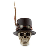 Crâne de style steam punk avec accessoire de maison en plumes de chapeau haut de forme