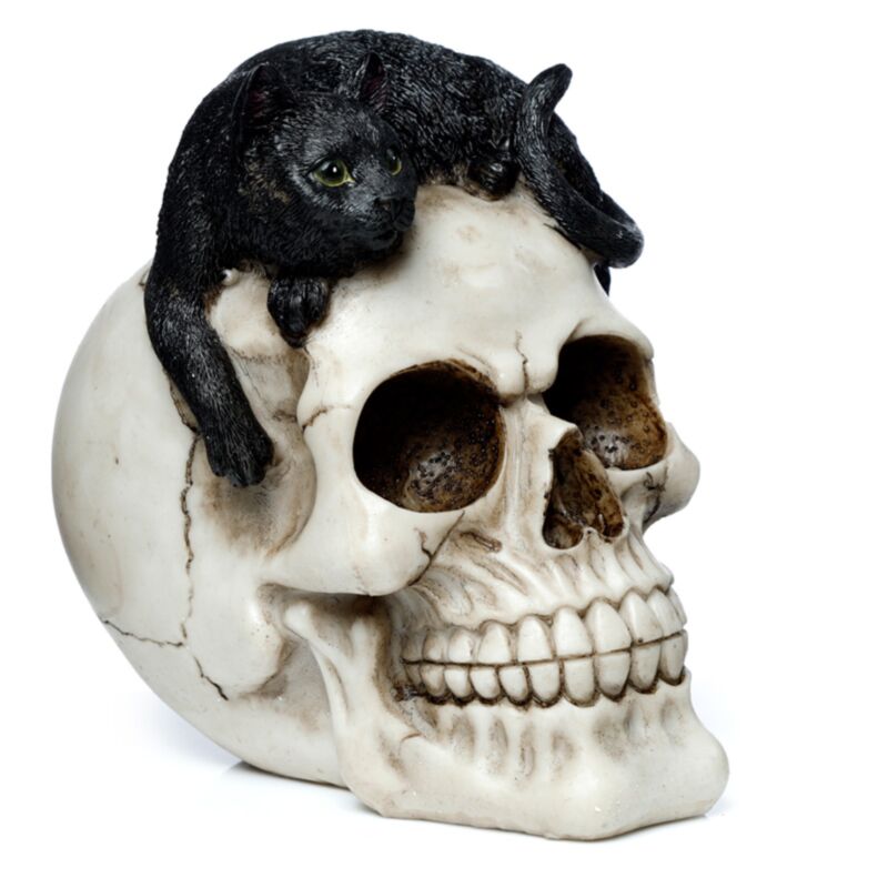 Accessoire de maison crâne avec chat noir
