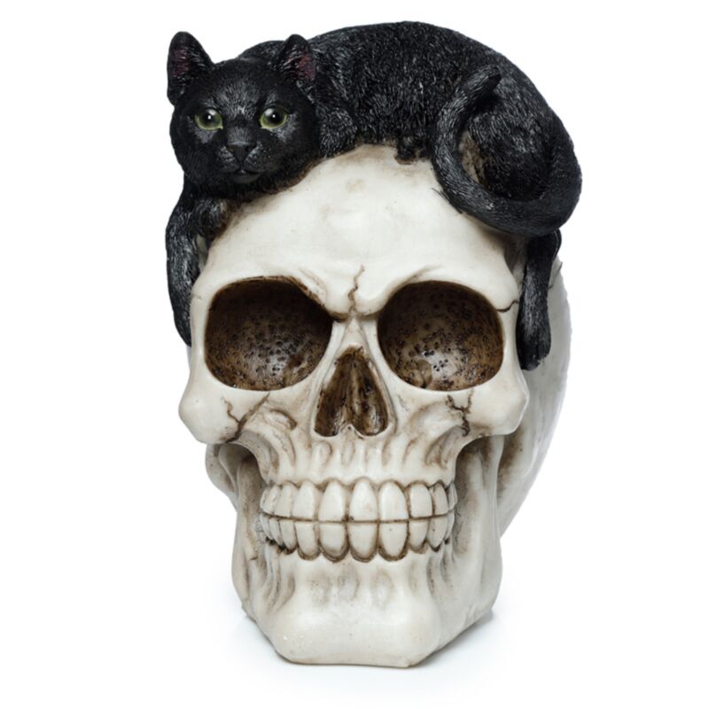 Accessoire de maison crâne avec chat noir