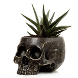 Pot de fleurs tête de mort à l'intérieur