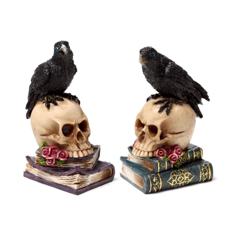 Corbeau assis sur des livres de crâne