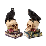 Corbeau assis sur des livres de crâne