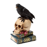 Corbeau assis sur des livres de crâne
