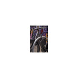 Abus Foldeslot Bordo Granit xplus 6500k 90 noir