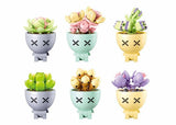 Présentoir de plantes succulentes en pot Sluban (m38-b1076)