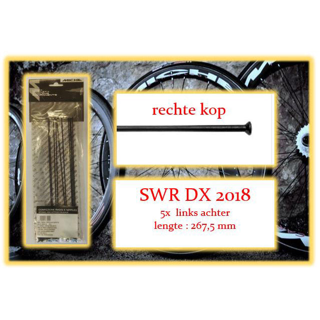 Miche Spaak + Nip. 5x La SWR DX 2018