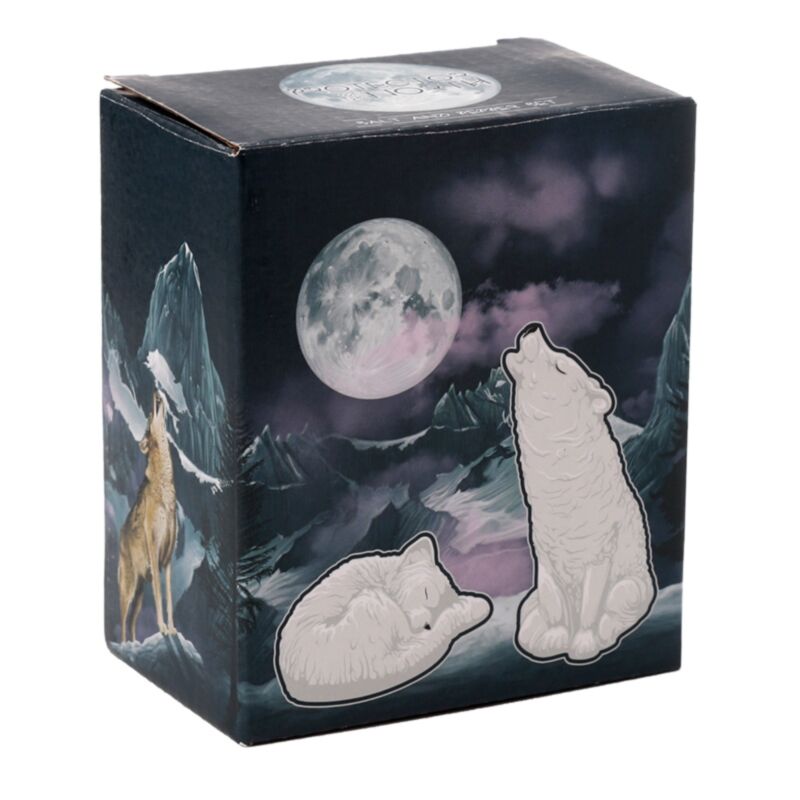 Salière et poivrière en céramique loup blanc