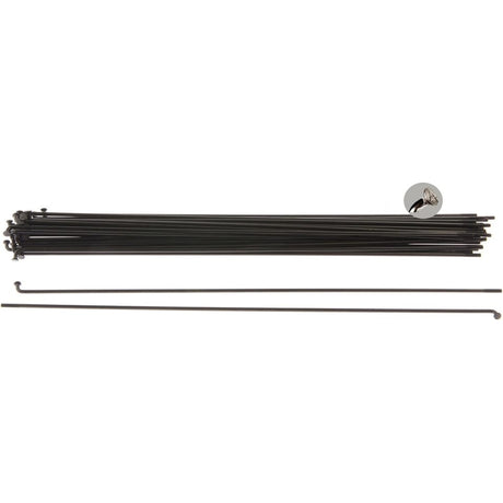 Alpina Spaken 13g (2,34 mm) 246 mm en acier inoxydable noir (P36)