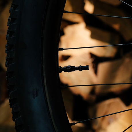 Valves exo-core tubeless Stans Stan's - hautes - noires