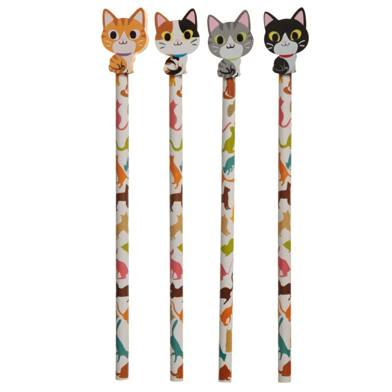 Chat 2020 - crayon gomme