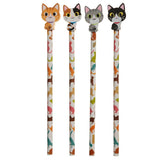 Chat 2020 - crayon gomme