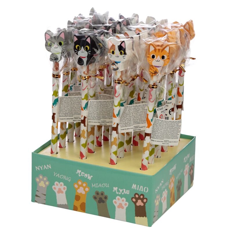 Chat 2020 - crayon gomme