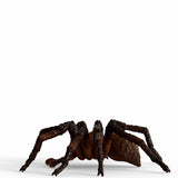 Schleich Harry Potter Aragog