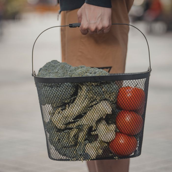 Topeak urban panier avant
