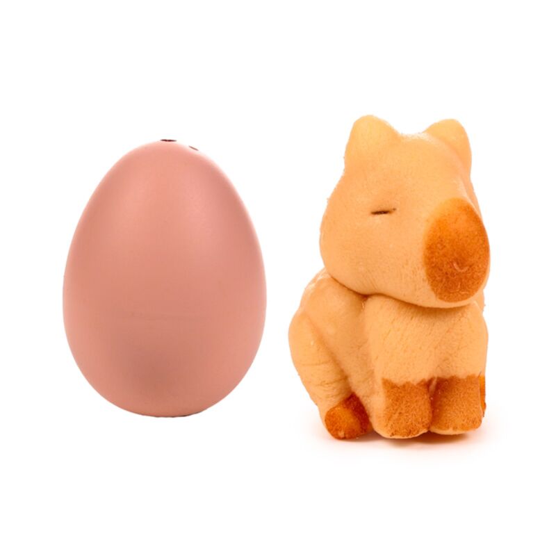 Oeuf à couver de Capybara