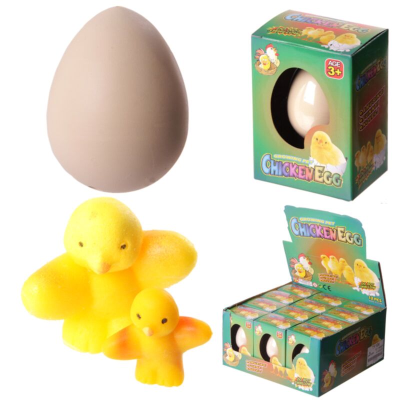 Oeuf de poule éclos