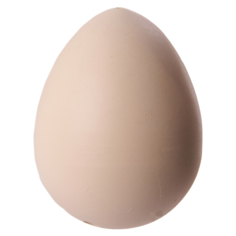Oeuf de poule éclos