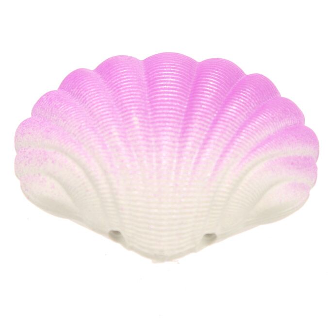 Coquille d'éclosion de sirène
