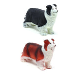 Jouet extensible pour chien colley