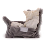 Schnauzer chien micro-ondes pack chauffant lavande blé