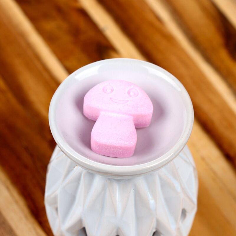Ylang ylang ensemble de 6 cires fondantes