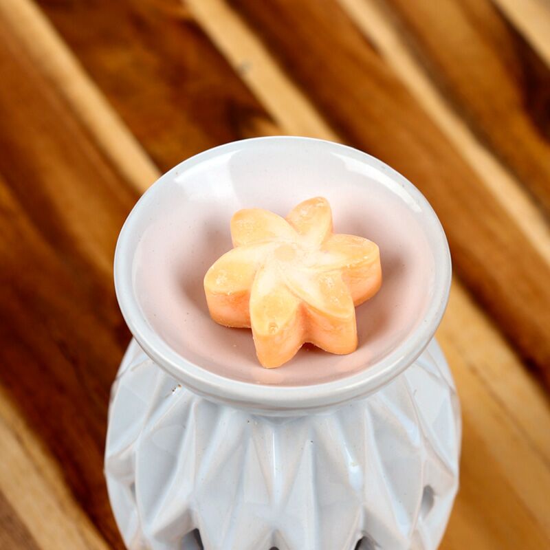 Ensemble de fruits à la mangue de 6 cires fondantes