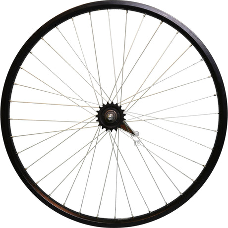 ROLAND ROUTE ARRIÈRE 28 Andra 40 Shimano Remonaf Black