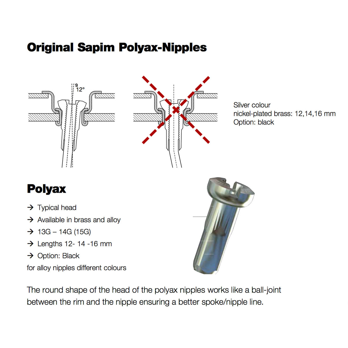 Écrou de rayon Sapim 14 polyax 16mm laiton argenté (100pcs)