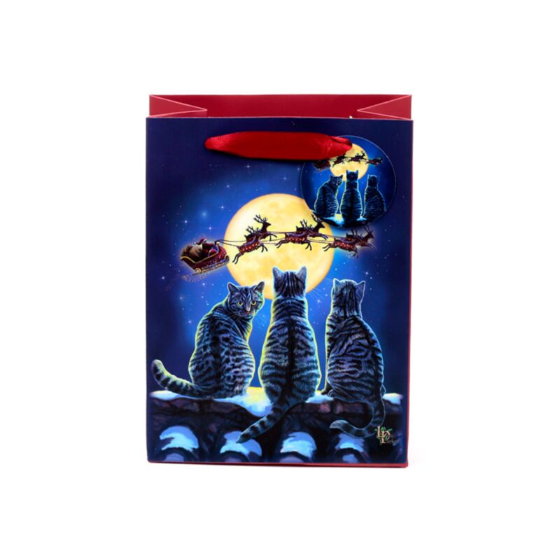 Chats de Noël Lisa Parker - sac cadeau moyen