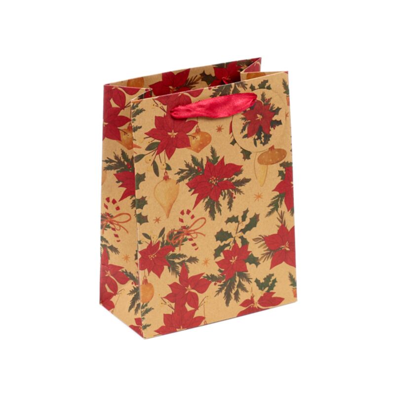 Plantes de Noël - sac cadeau moyen